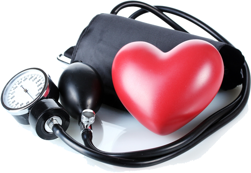 Blood Pressure Monitorand Heart Model