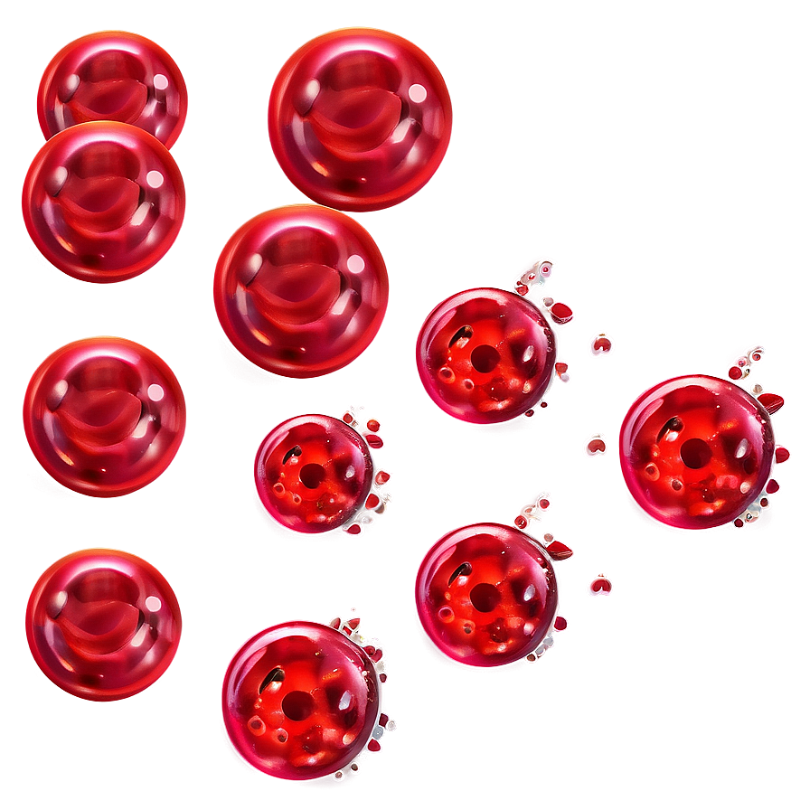 Bloodstream Red Blood Cells Png 06292024