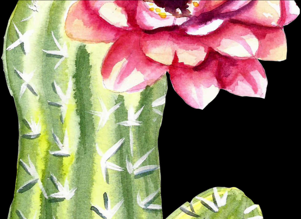 Blooming Cactus Watercolor Art