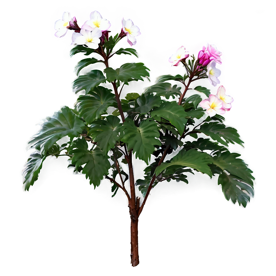 Blooming Flower Bush Png Dps88