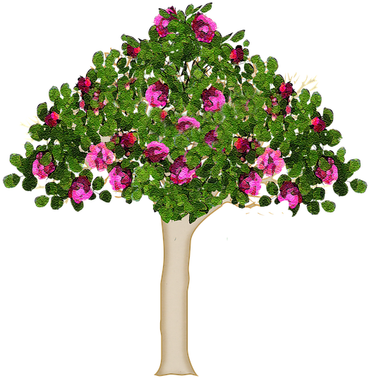 Blooming Flower Tree Illustration.png