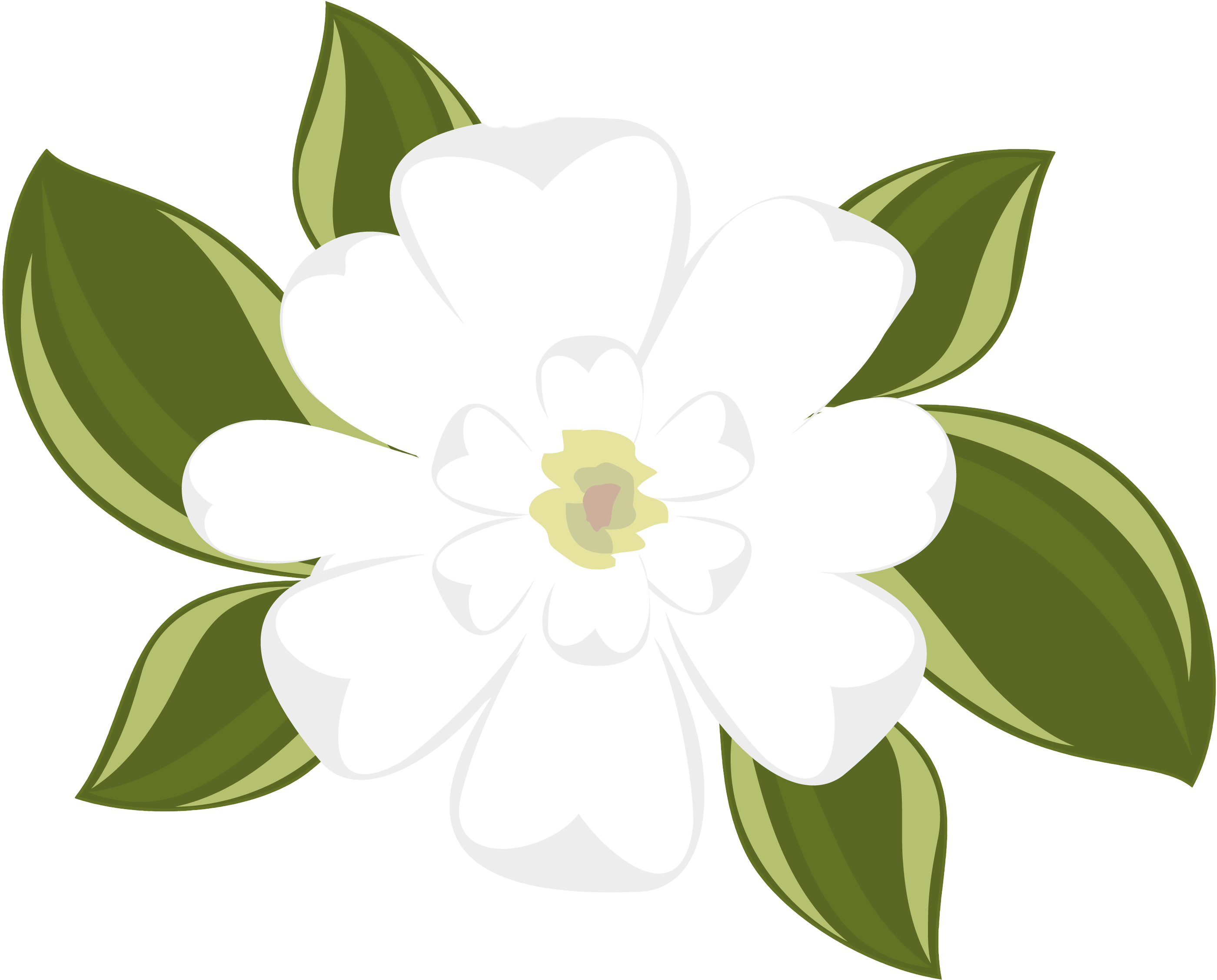 Blooming Magnolia Vector Illustration