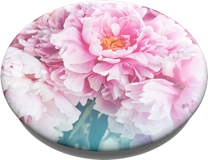 Blooming Pink Peony Flower