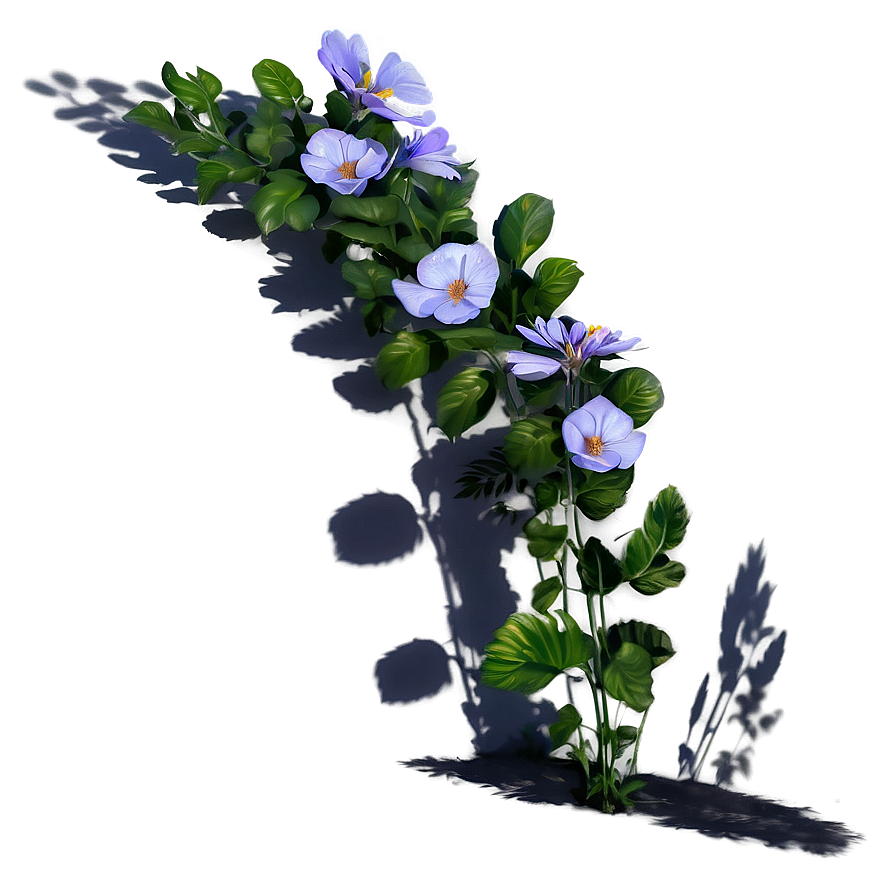 Blooming Plant Shadow Feature Png Cwt