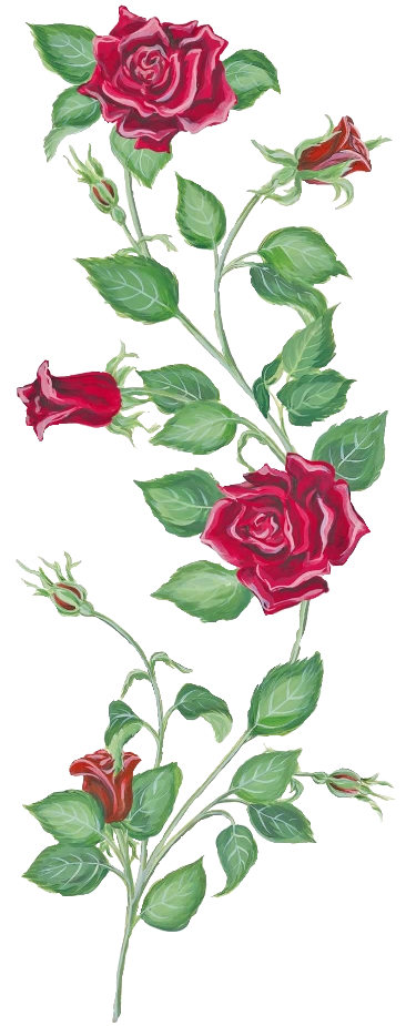 Blooming Red Roses Vine Artwork