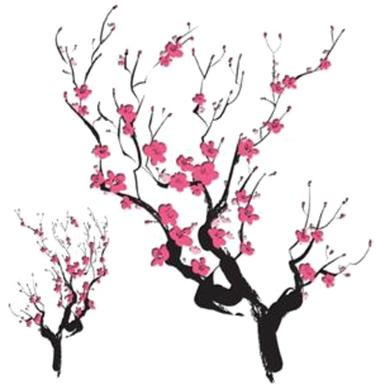 Blossoming Cherry Branches.png