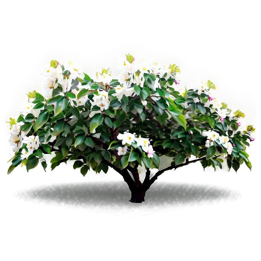 Blossoming Flower Bush Png Nbv81