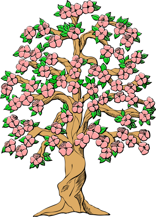 Blossoming Pink Flower Tree Illustration