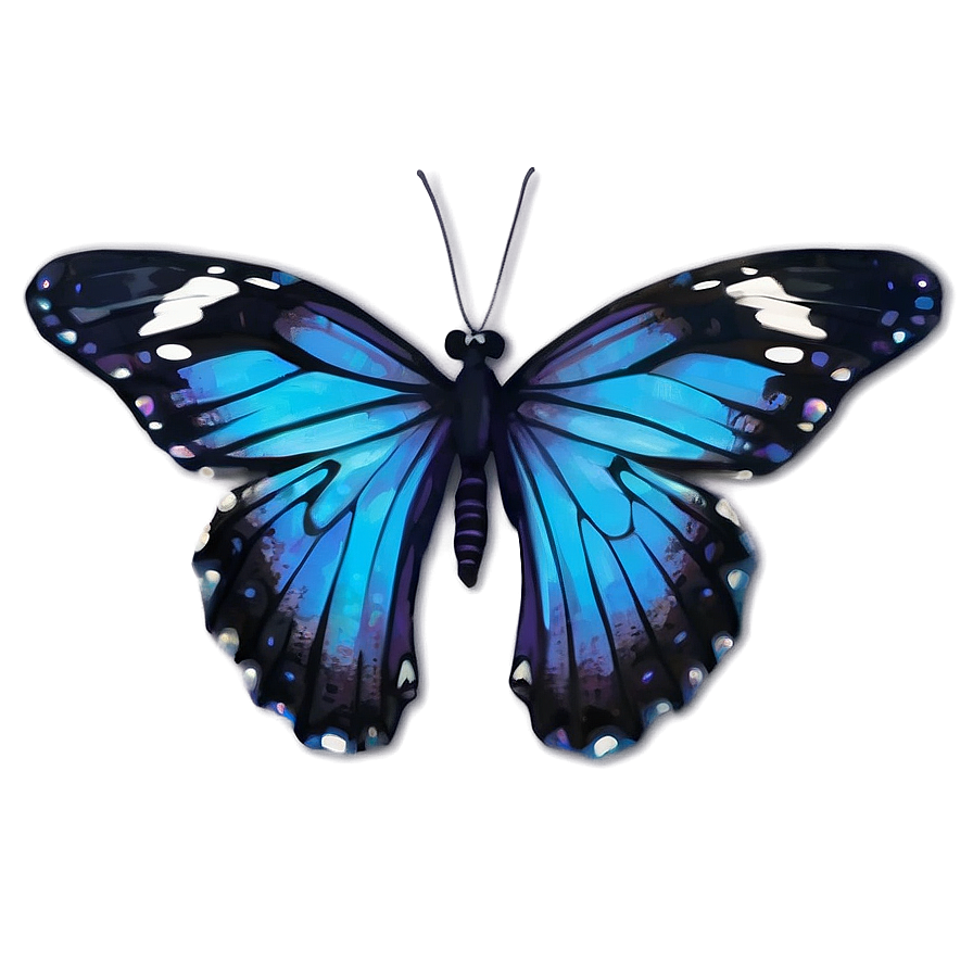 Blue And Black Butterfly Png 74