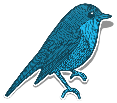 Blue Bird Illustration