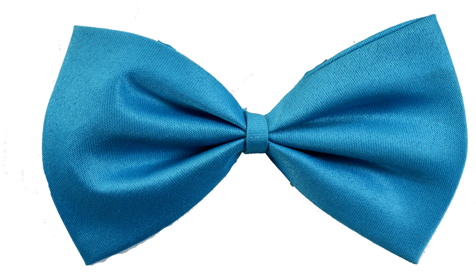 Blue Bow Tie Accessory