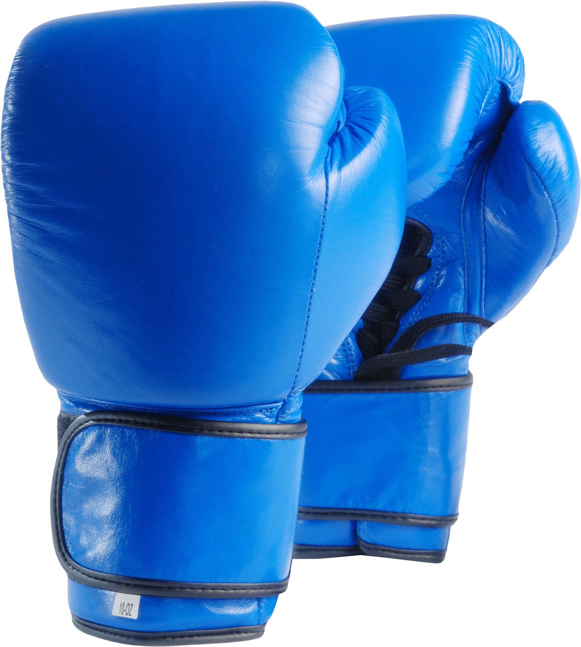Blue Boxing Gloves Pair