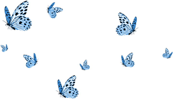 Blue Butterflies Pattern