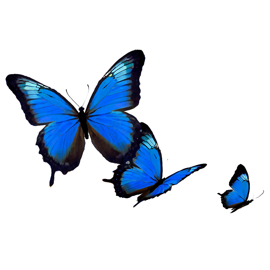 Blue Butterflies Silhouette Png Uyc50