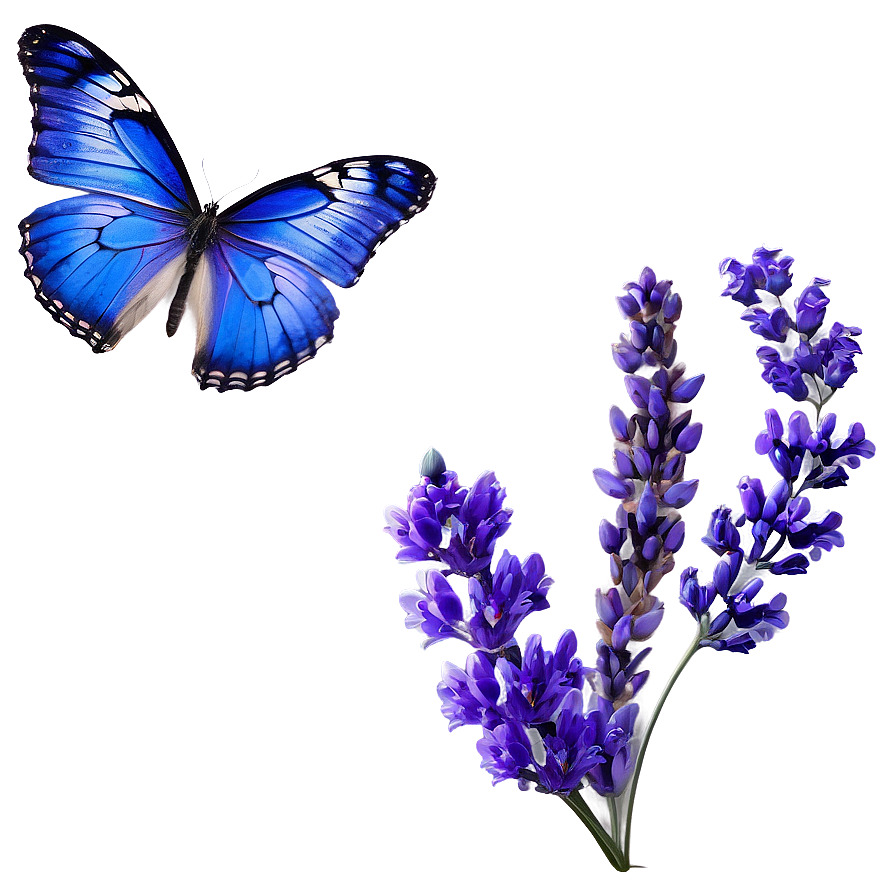 Blue Butterfly And Lavender Png 19