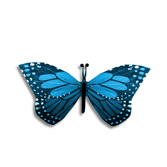 Blue Butterfly Black Background