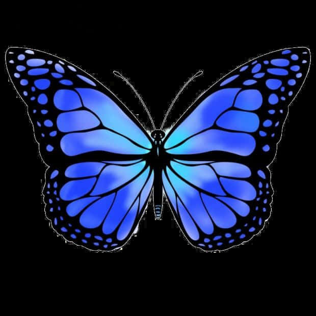 Blue Butterfly Graphic Art