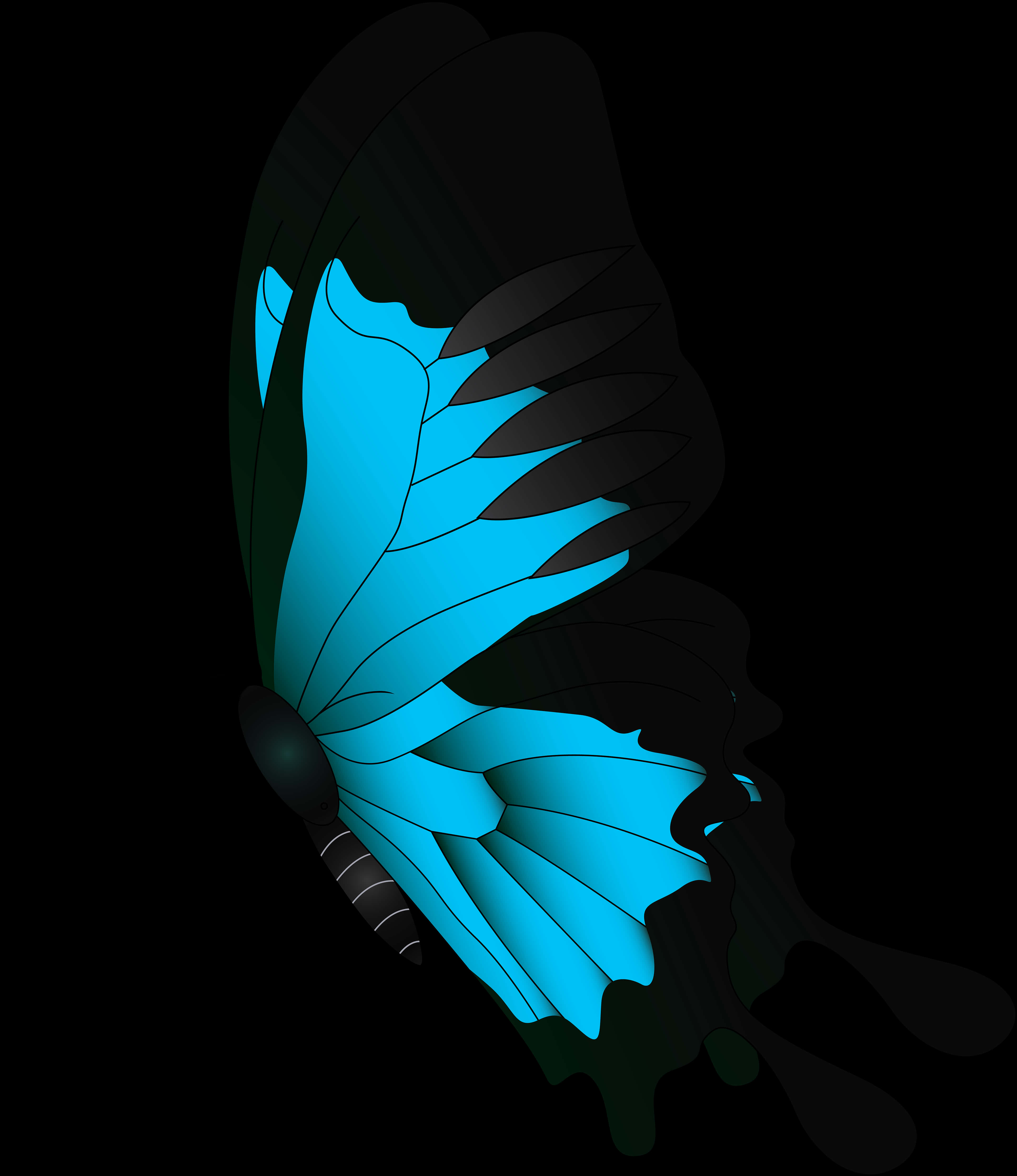 Blue Butterfly Graphic Art