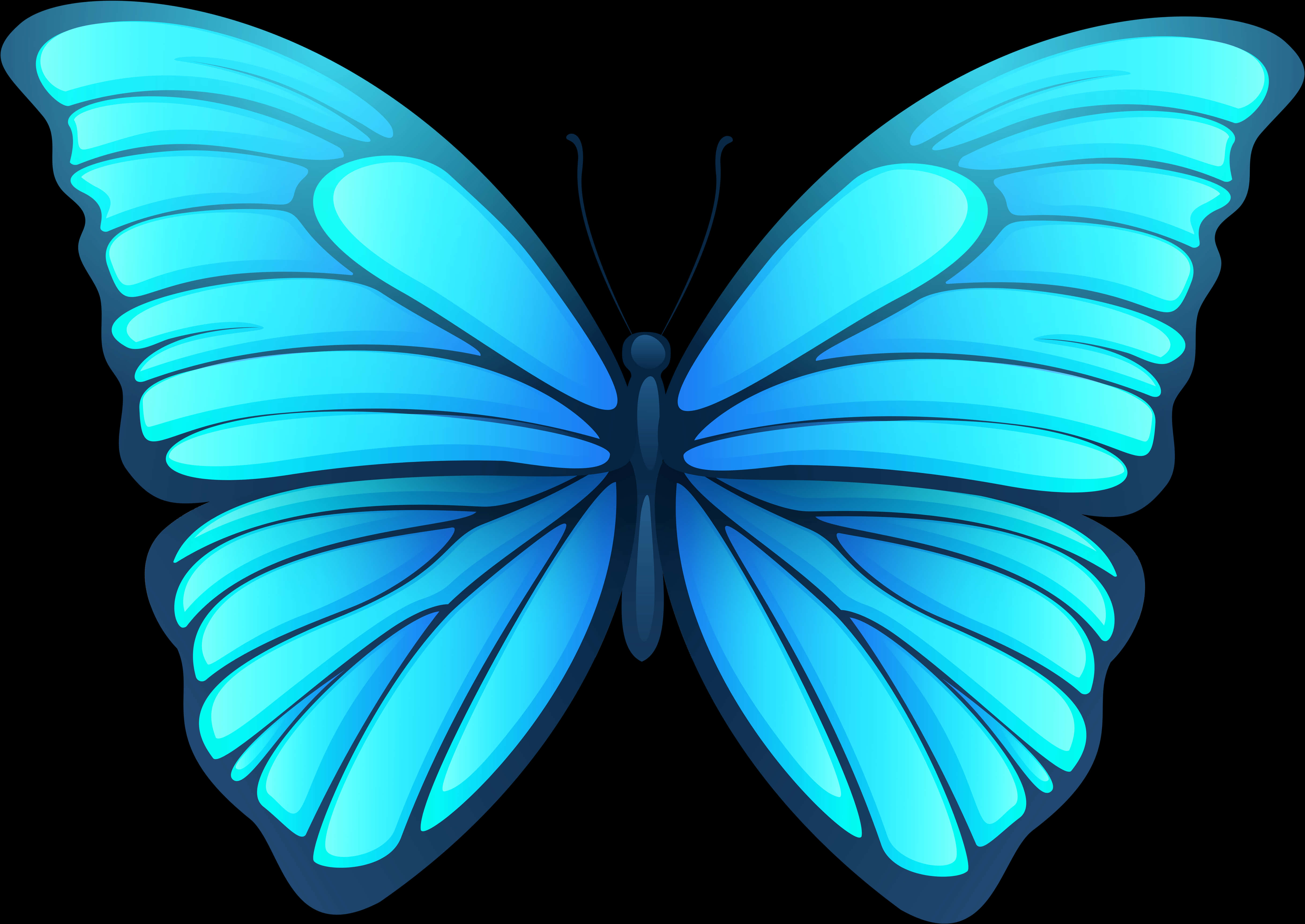 Blue Butterfly Illustration
