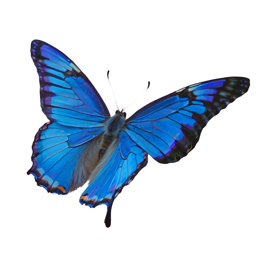 Blue Butterfly In Flight Png 21