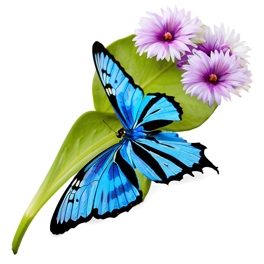 Blue Butterfly On Flower Png 84