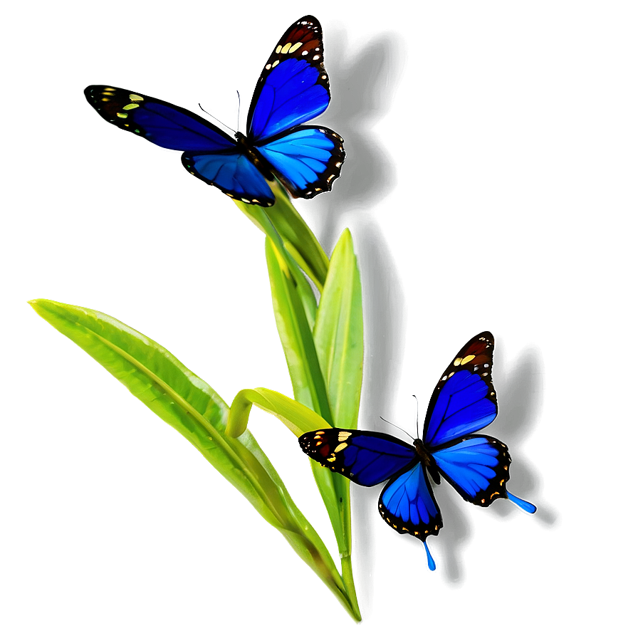 Blue Butterfly On Flower Png Qkr