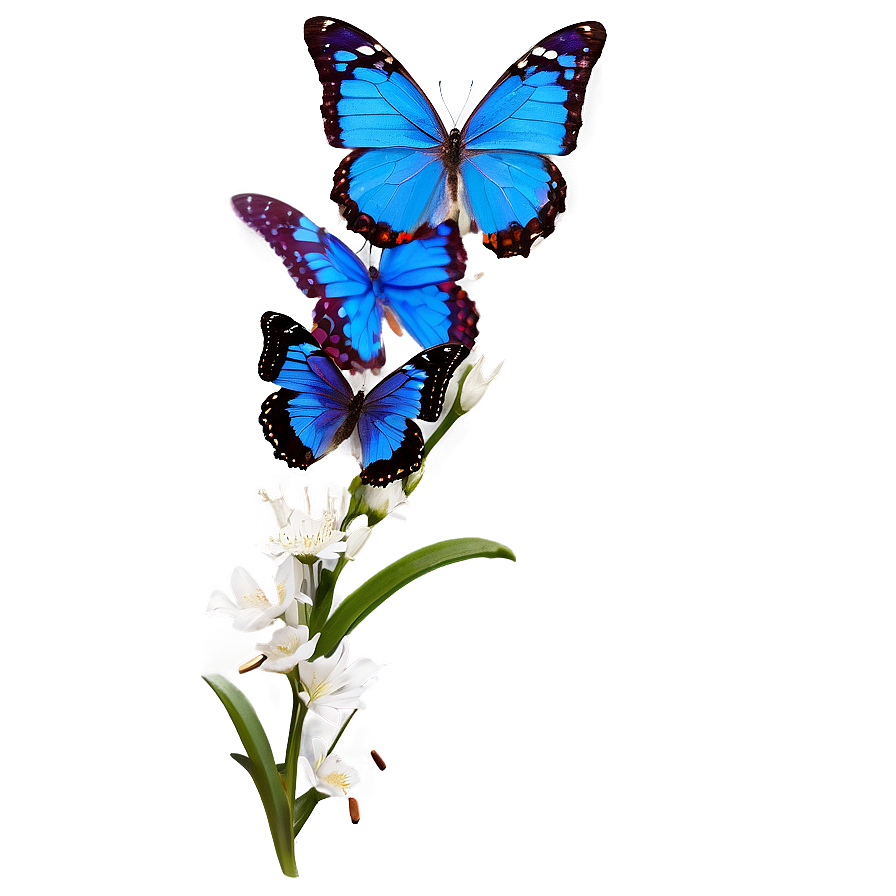 Blue Butterfly On White Png 05212024