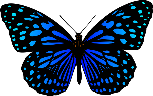 Blue Butterfly Silhouette Art