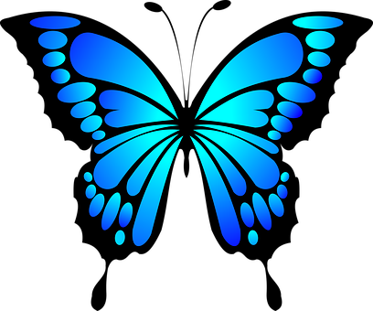 Blue Butterfly Vector Art