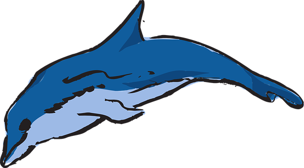 Blue Dolphin Illustration