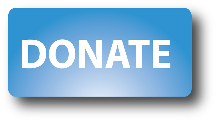 Blue Donate Button