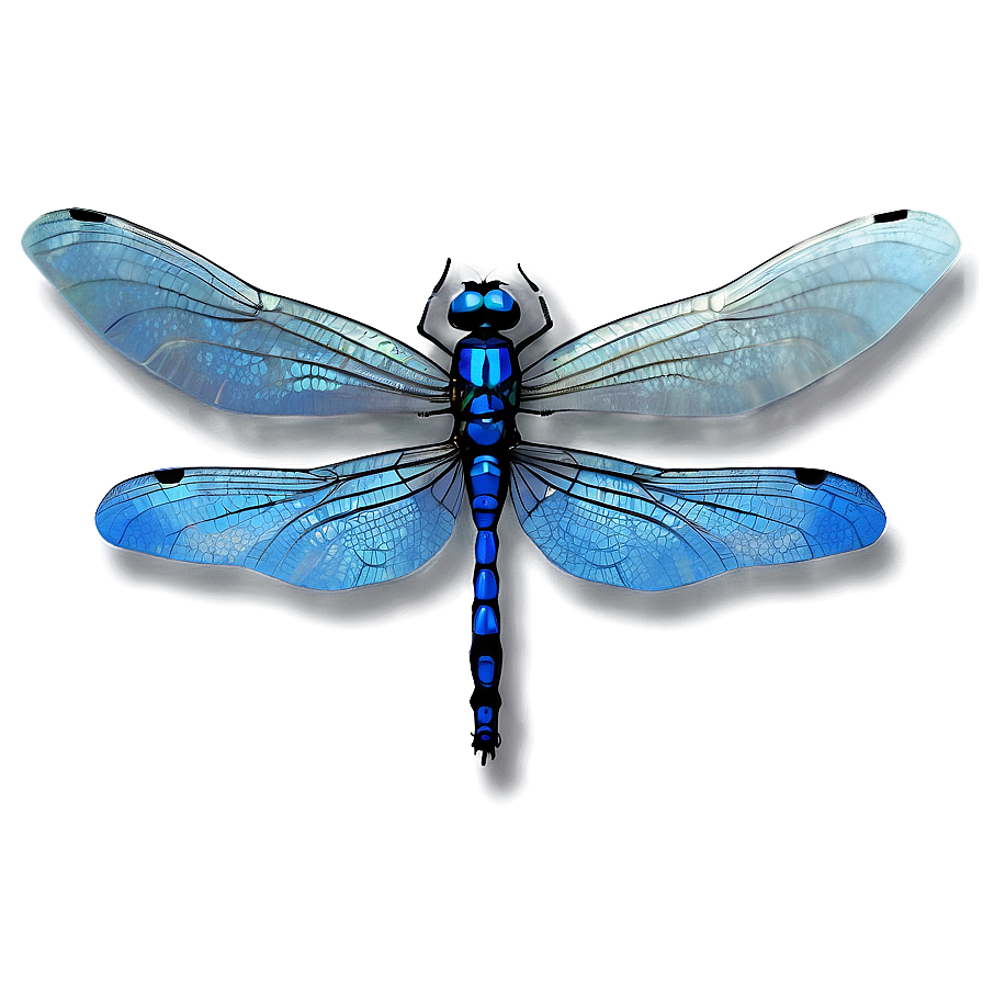 Blue Dragonfly Png Ikw29