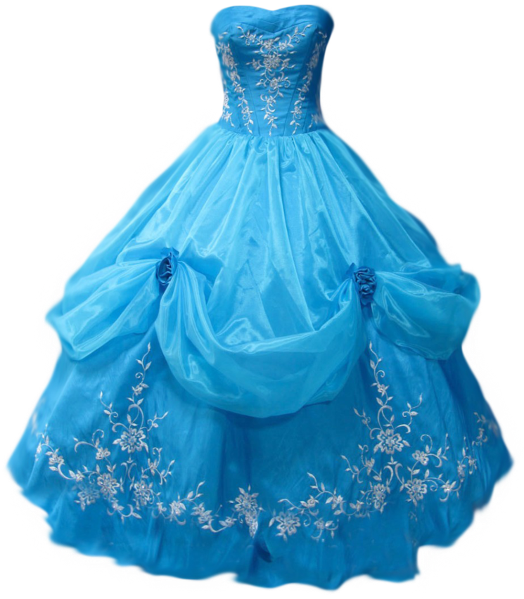 Blue Embroidered Ball Gown Dress