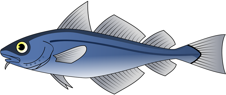 Blue Fish Illustration