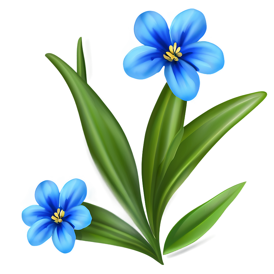 Blue Flower Detail Png 05242024