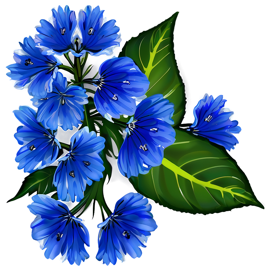 Blue Flower Nature Png Pbq