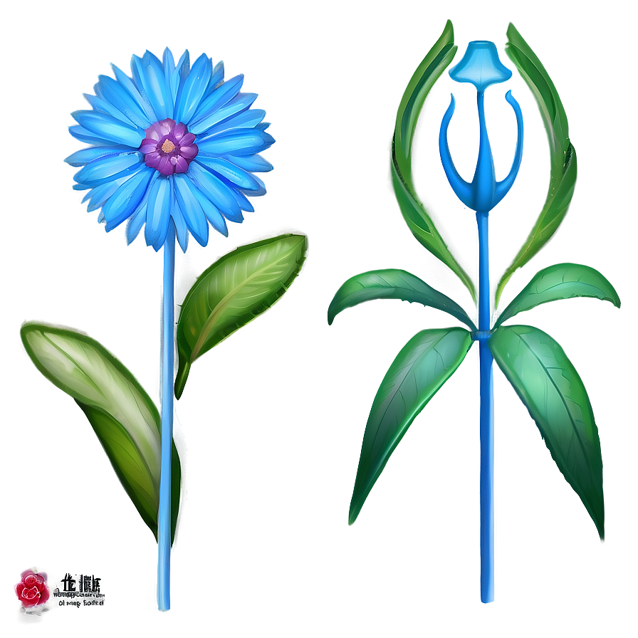 Blue Flower Portrait Png Man78