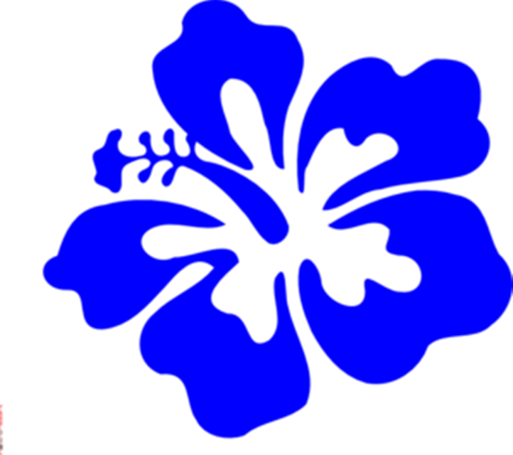 Blue Hawaiian Hibiscus Graphic