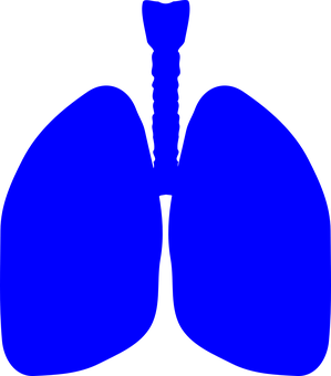 Blue Human Lungs Graphic