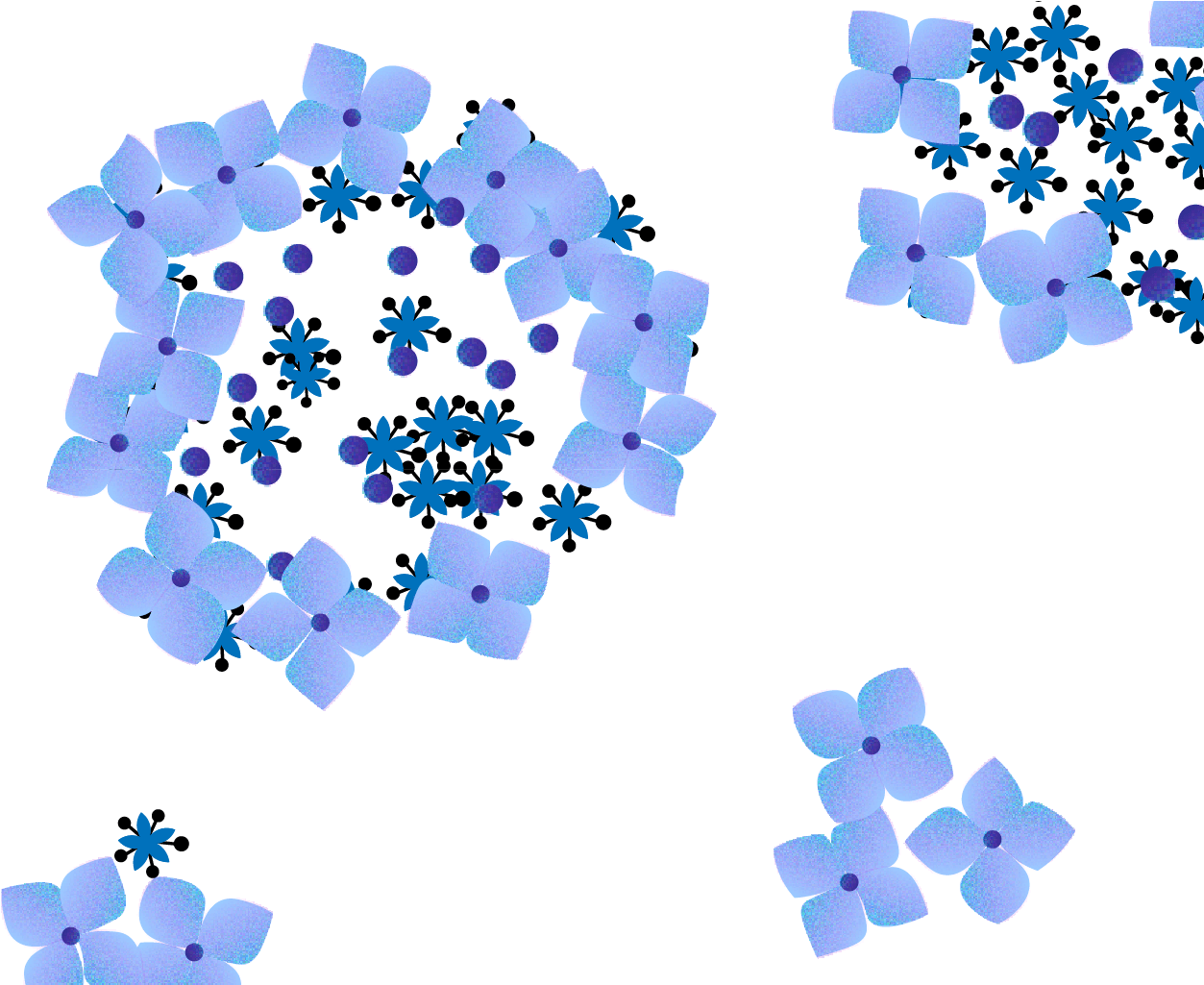 Blue Hydrangea Pattern