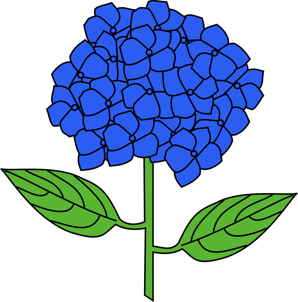 Blue Hydrangea Vector Illustration