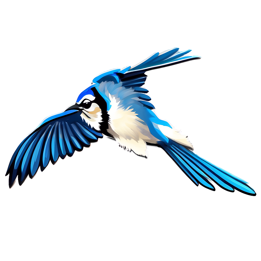 Blue Jay Digital Art Png Eeo