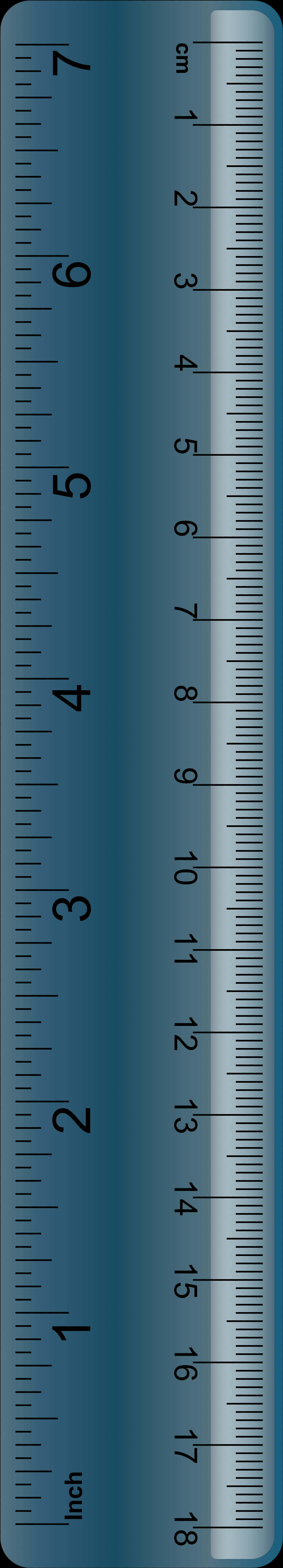 Blue Metric Inch Ruler Vertical