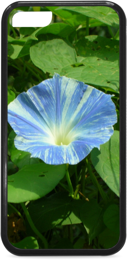 Blue Morning Glory Phone Case Design
