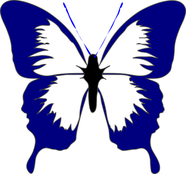 Blue Outlined Butterflyon Black