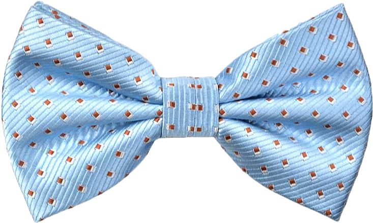 Blue Patterned Bow Tie