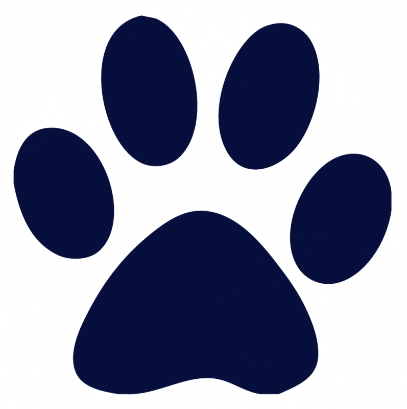 Blue Paw Print Graphic