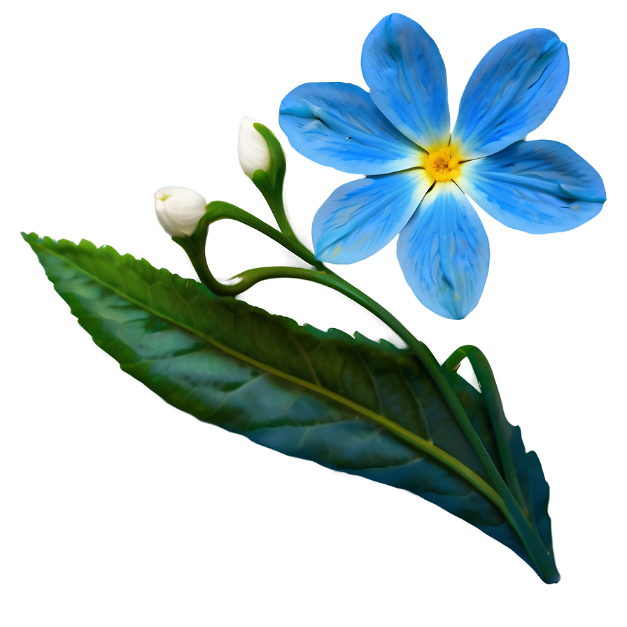 Blue Petal Flower Png Gig