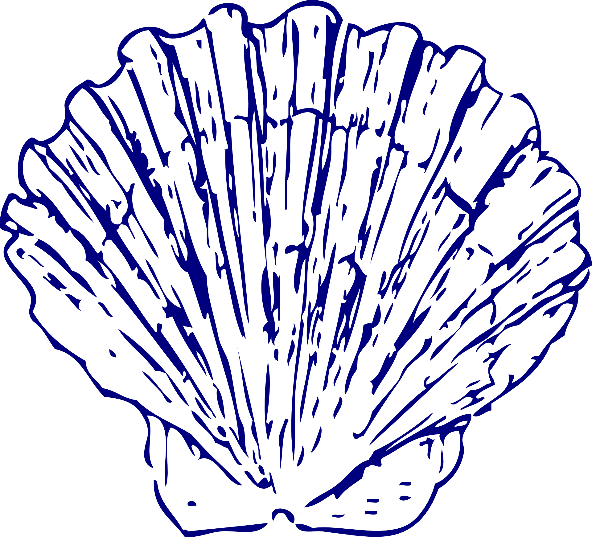 Blue Scallop Shell Illustration