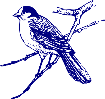 Blue Silhouette Birdon Branch